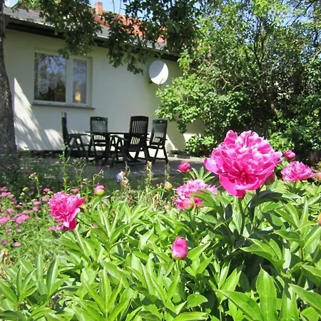 Am Schilfguertel 度假居