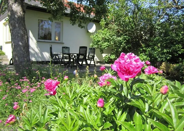 Am Schilfgürtel Ferienhaus